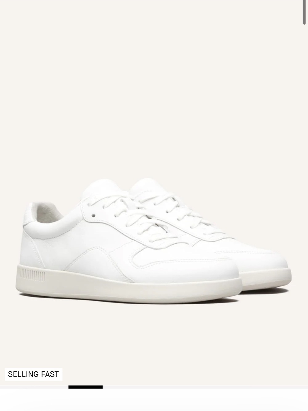 everlane court sneaker in women’s 7